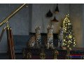 gatitos-sabana-serval-y-caracal-disponibles-small-1